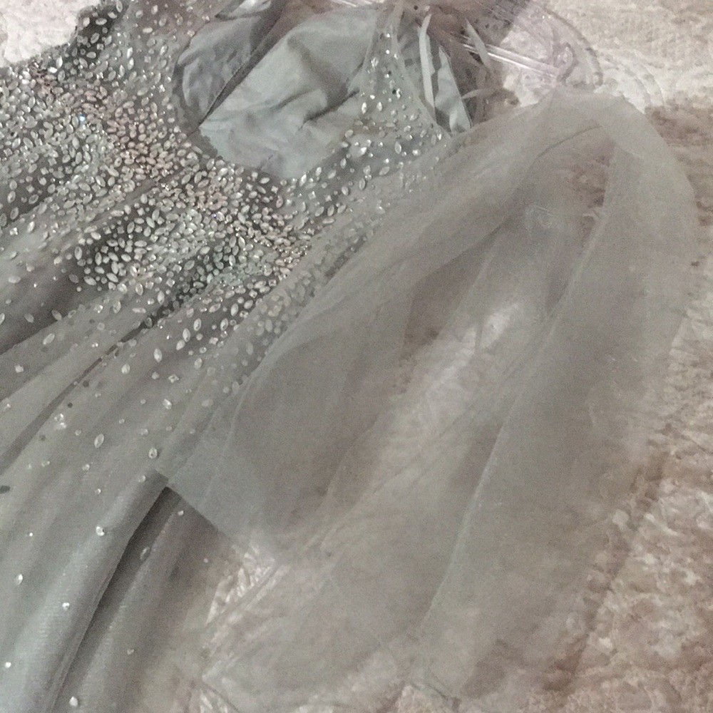 Silver Crystal Embellished Tulle Ball Gown - Picture 15 of 16